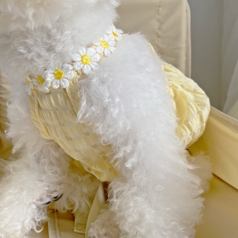 cute daisy dog dress