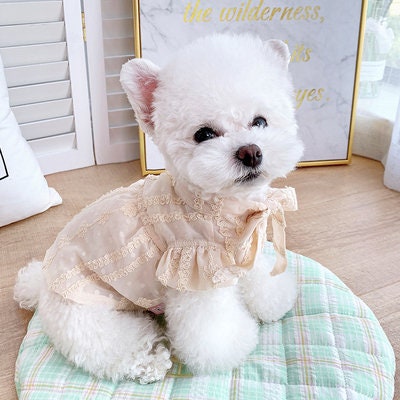 Teacup sales maltese clothes