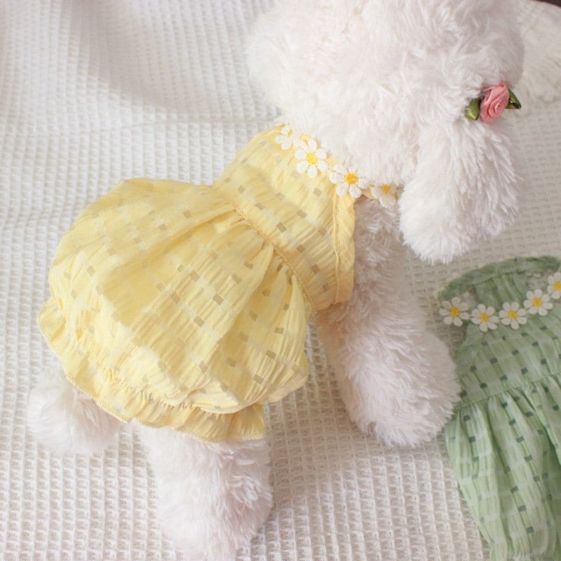 small dog wearing yellow daisy dress