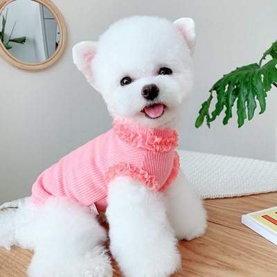Fluorescent color Laced Neckline Sweater Dog Clothes Puppy Clothes Cat Clothes Pet Clothes Bichon Yorkshire Small Dog Cute Pet Clothes