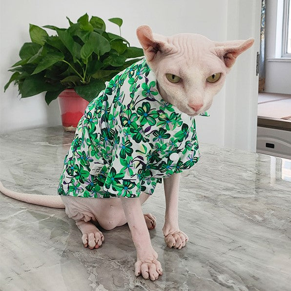 hawaii hairless cat clothes