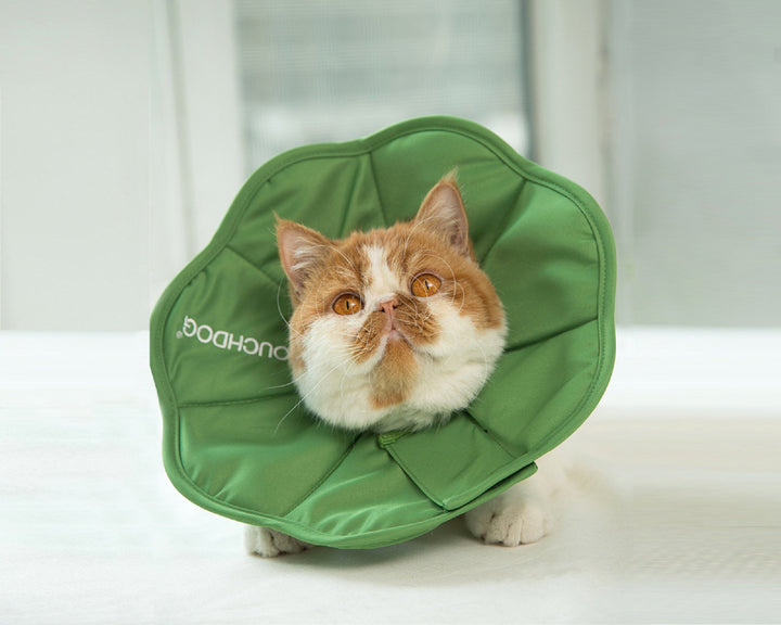 Pet Cat Dog Health Recovery Collar Elizabethan Cotton Filling Collars Protective e-Collar for Cat and Dog Wound Healing Adjustable Pet Cones