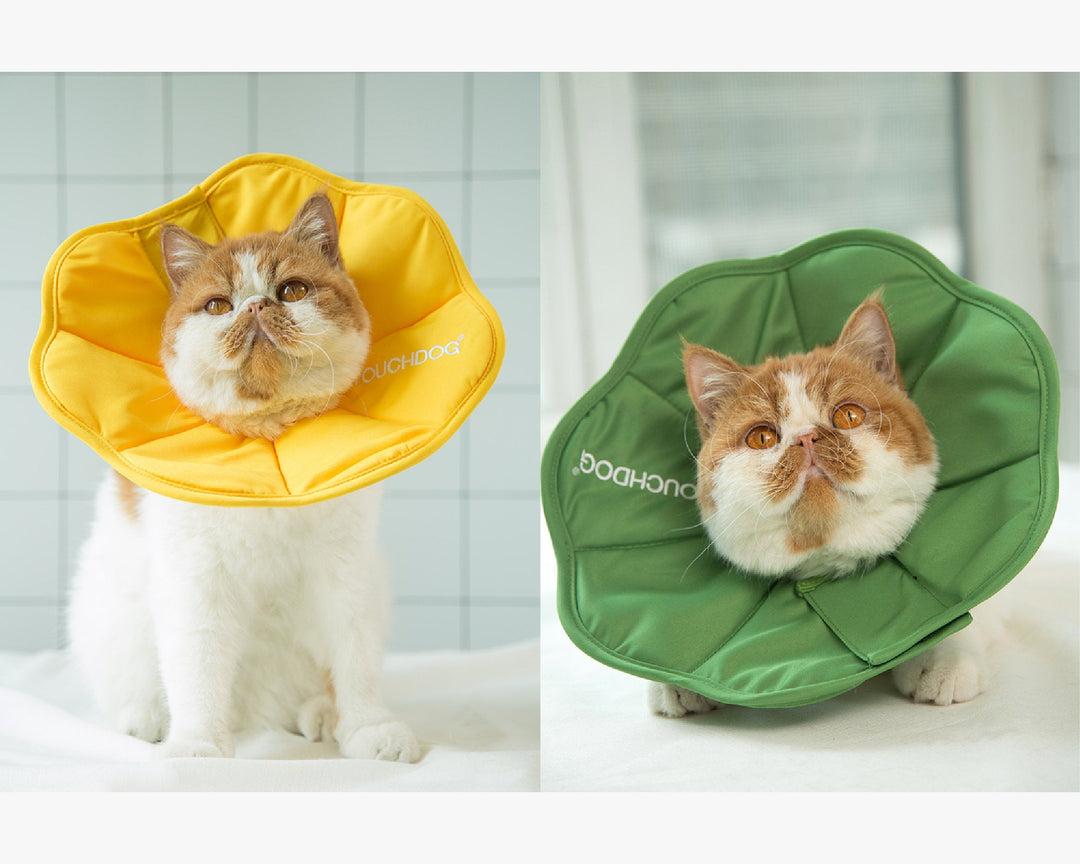 Pet Cat Dog Health Recovery Collar Elizabethan Cotton Filling Collars Protective e-Collar for Cat and Dog Wound Healing Adjustable Pet Cones