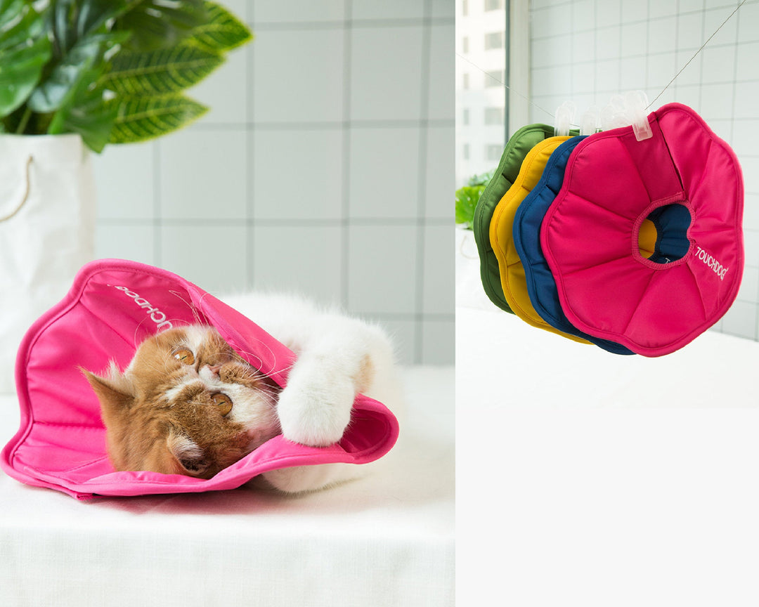 Pet Cat Dog Health Recovery Collar Elizabethan Cotton Filling Collars Protective e-Collar for Cat and Dog Wound Healing Adjustable Pet Cones