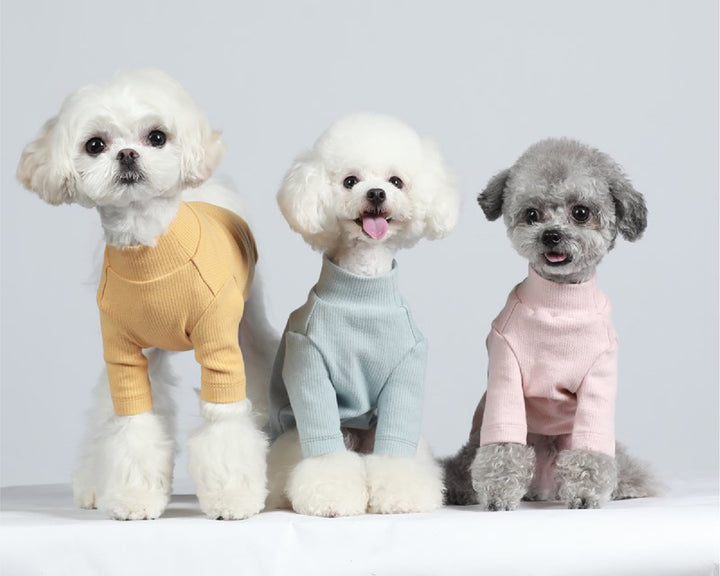 Pet Puppy Clothes Soft & Elastic Long Sleeve Sweater Fall Winter Warm Clothing Sweater for Small Dogs Knitted Tops Turtle Neck Cute Apparel