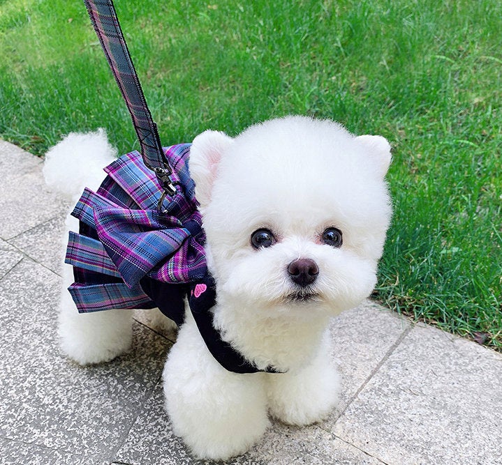 Pet Harness Dress and Leash Set Cute Elegant Dog Clothes Puppy Harnesses Vest for Big Bow Cat Clothes Leash Lead Small Dogs Puppy Leash