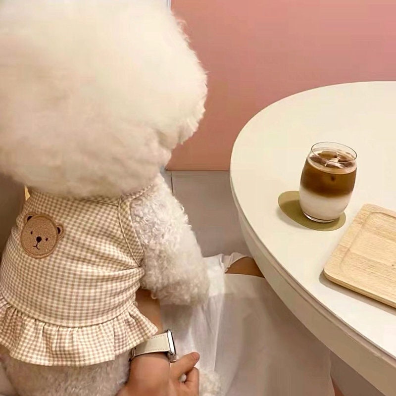 Bear Sleeveless Dog Dress Puppy Clothes Cat Clothes Spring Summer Pet Clothes Pet Tops Small Dog Clothes for Small Dogs Girl Dog Clothes