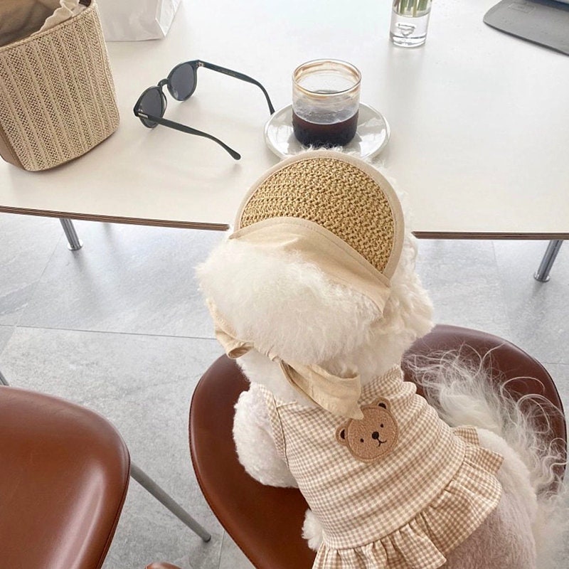 Bear Sleeveless Dog Dress Puppy Clothes Cat Clothes Spring Summer Pet Clothes Pet Tops Small Dog Clothes for Small Dogs Girl Dog Clothes