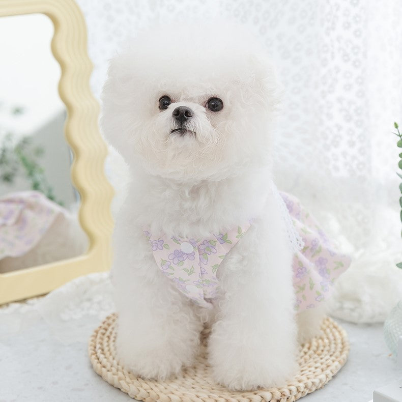 Floral Print Puppy Dress