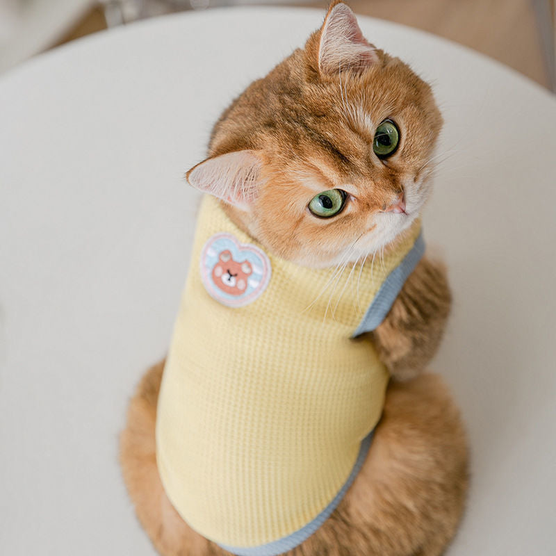 Pastel Bear Pet Tee Shirt Cute Cat Clothes