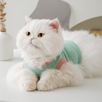Pastel Bear Cat Tee Shirt
