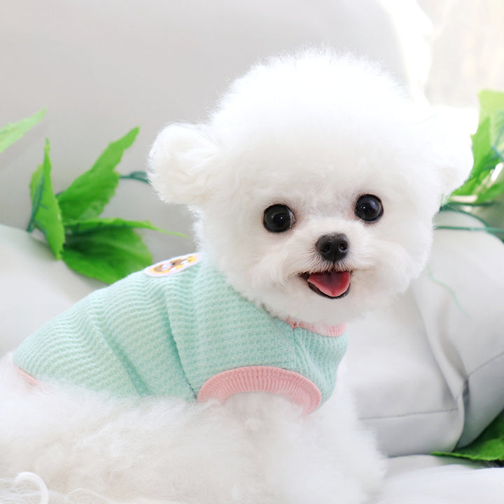 Pastel Bear Pet Tee Shirt Puppy Clothes