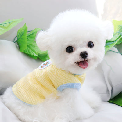 Pastel Bear Pet XS Dog T-shirt