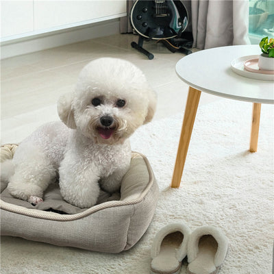 pet heating pad for dog