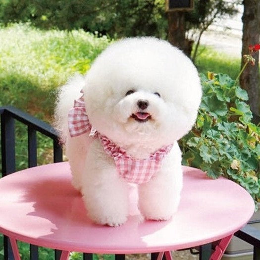 Spring Summer Dog Dress Dog Clothes Pet Dress Spring Dog Dress Puppy Clothes girl Small Dog Clothes