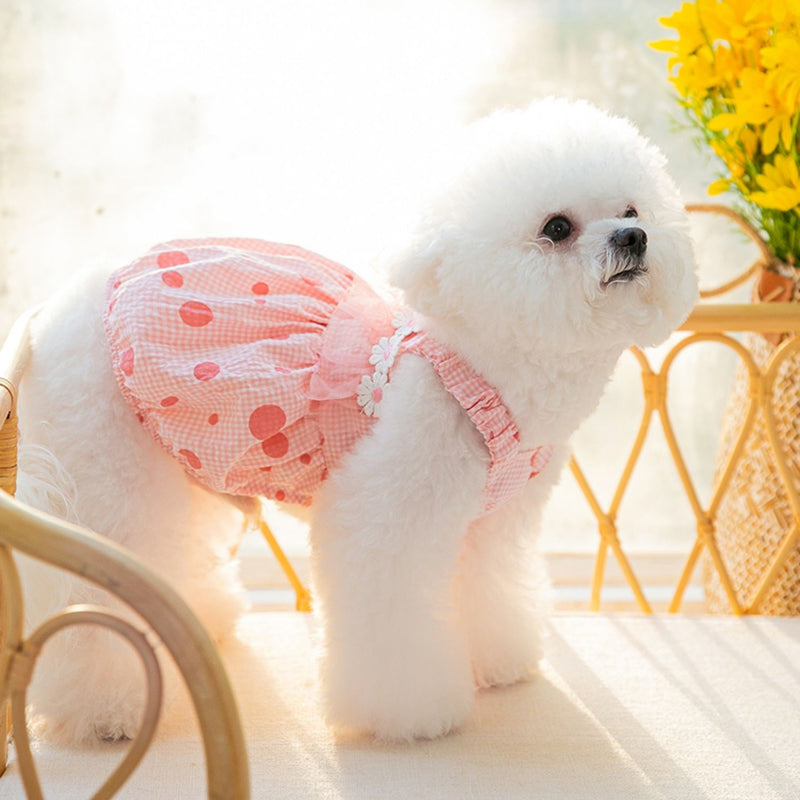 daisy laced polka dot dress small dog clothes in pink color