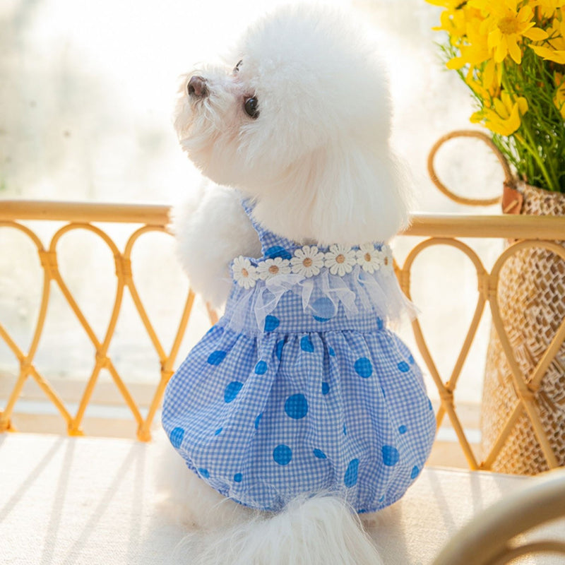daisy laced polka dot dress pet cute clothes
