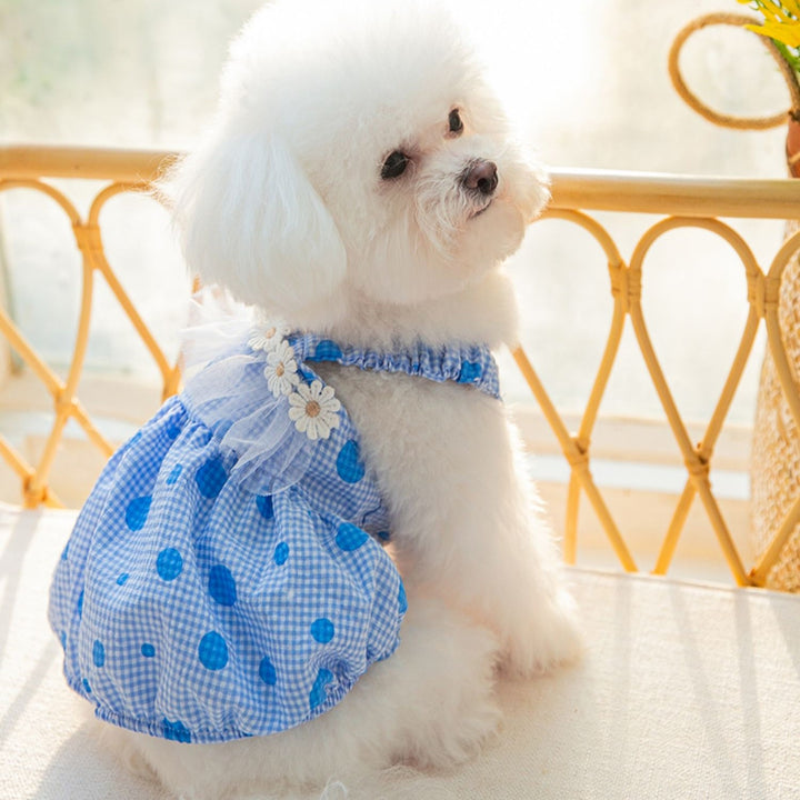 daisy laced polka dot dress small dog dress in blue color