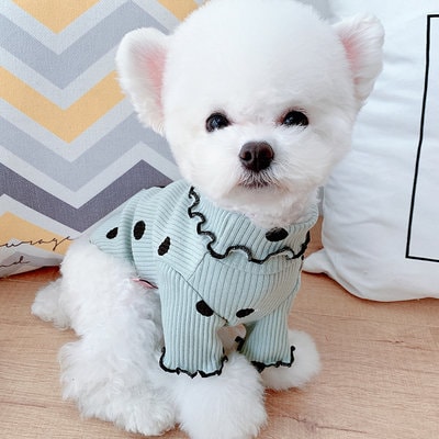 Polka Dot Ruffle Sleeve Dog Sweater Dog Clothes Cute Puppy Clothes Cute Cat Clothes Bichon Yorkshire Small Breed Dog Clothes Fall Winter