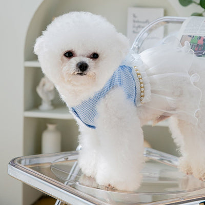 princess style lace dress for small dog