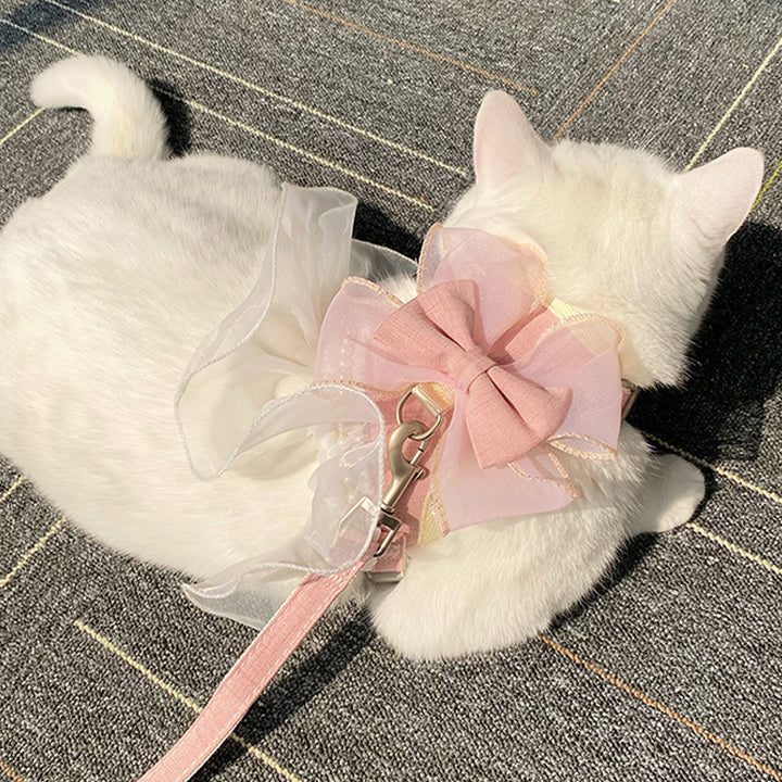 cat wearing super cute harness with bow