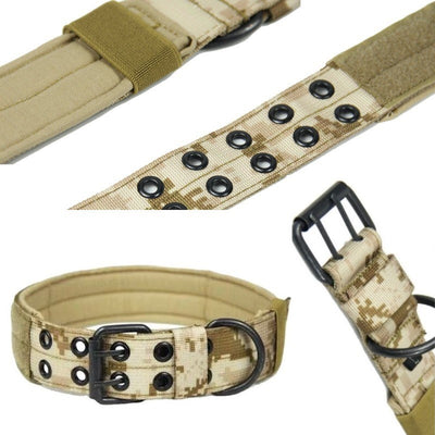 Service Dog Collar Type C Desert Camo in Details