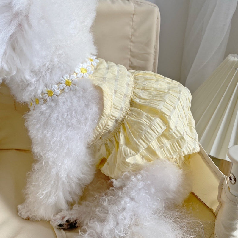 cute daisy halter neck cat and dog dress