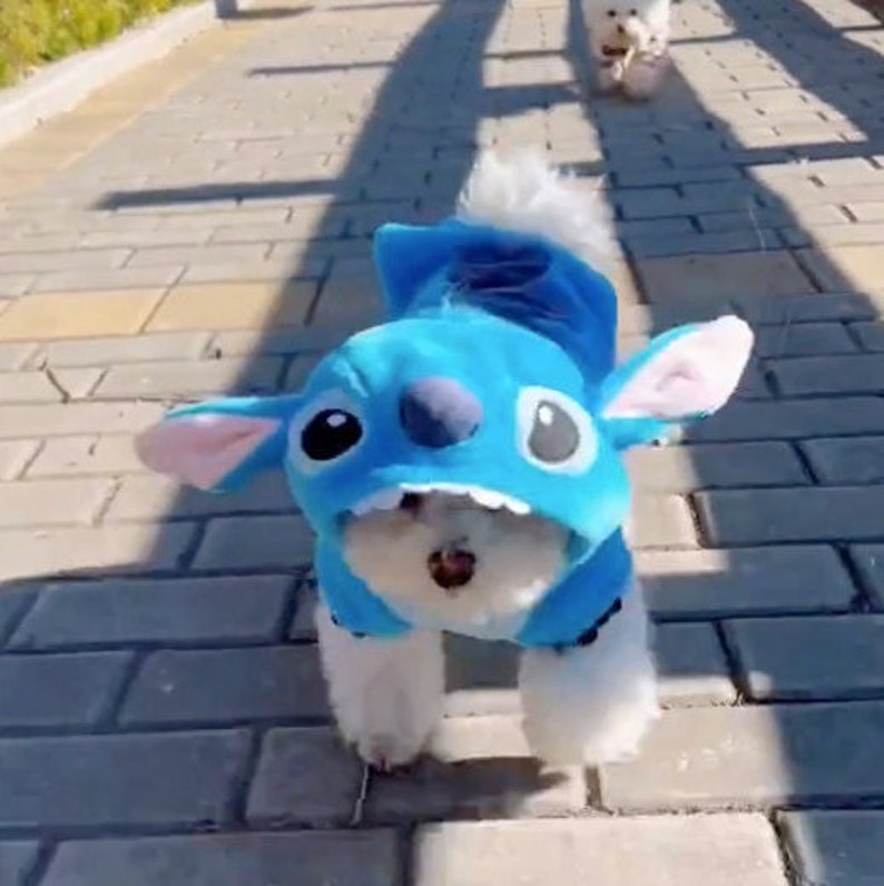 Puppy stitch costume best sale