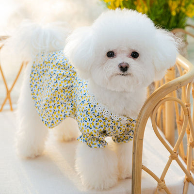 Dog Dress, Dog Clothes Girl, Cute Puppy Clothes, Cute Cat Clothes, Small Dog Clothes, Cute Dog Dress, Girl Dog Clothes Dog Lover Gifts