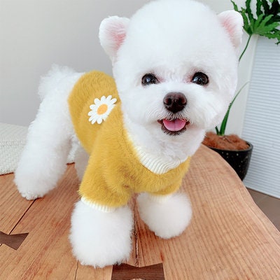 Mock Neck Fluffy Daisy Pet Sweater