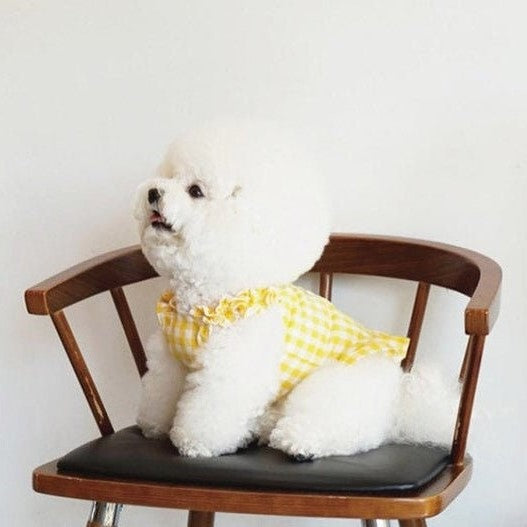 Spring Summer Dog Dress Dog Clothes Pet Dress Spring Dog Dress Puppy Clothes girl Small Dog Clothes