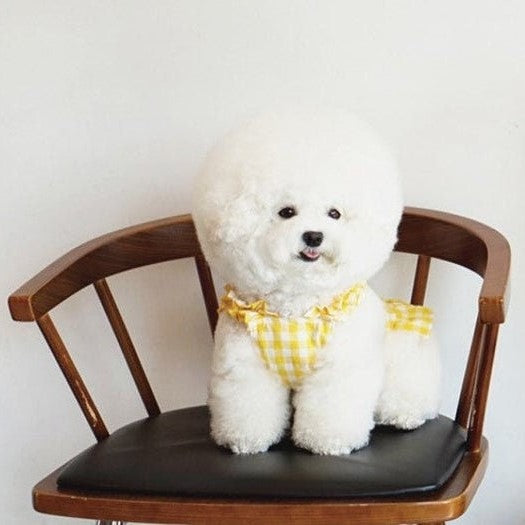 Spring Summer Dog Dress Dog Clothes Pet Dress Spring Dog Dress Puppy Clothes girl Small Dog Clothes