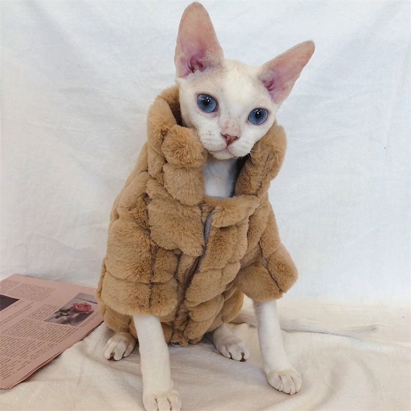 Winter Sphynx Cat Hairless Cats Wearing Coat in Snow Digital 
