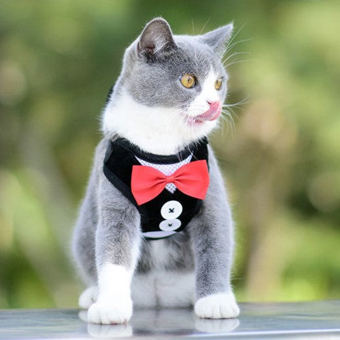 Super Lightweight Cute Cat Black Harness Leash