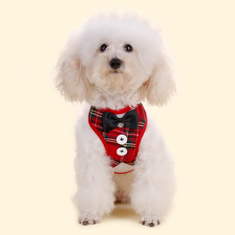 Super Lightweight Pet Red Plaid Harness Leash for Puppy
