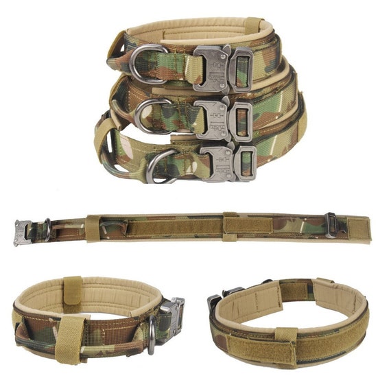 Tactical Dog Collar Type B CP Camo in Details